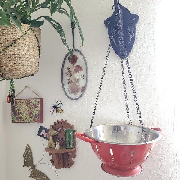 red strainer plant hanger